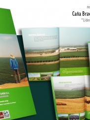 Reporte Agricola del Chira 2009
